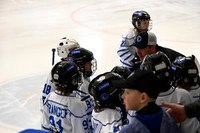 Janesville White Sharks