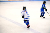 Janesville Lady Hawks