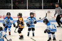 Janesville Rangers
