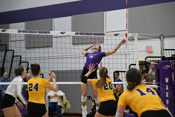 DSC_0464