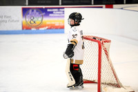 Sheboygan Lakers Red