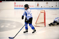 Janesville Lady Jets