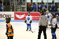 Janesville White Stars